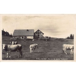 Rare collectable postcards of Switzerland. Vintage Postcards of Switzerland