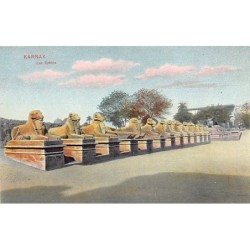 Rare collectable postcards of Egypt. Vintage Postcards of Egypt