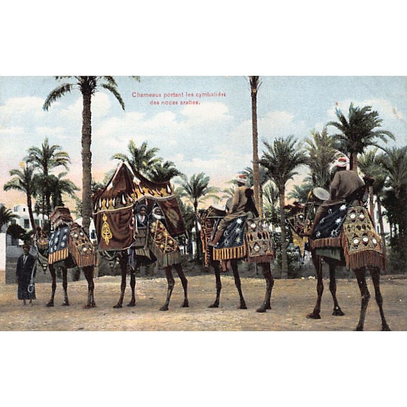 Rare collectable postcards of Egypt. Vintage Postcards of Egypt