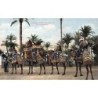 Rare collectable postcards of Egypt. Vintage Postcards of Egypt