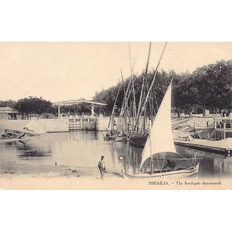 Rare collectable postcards of Egypt. Vintage Postcards of Egypt