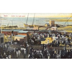 Rare collectable postcards of Egypt. Vintage Postcards of Egypt