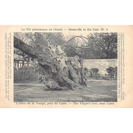 Rare collectable postcards of Egypt. Vintage Postcards of Egypt