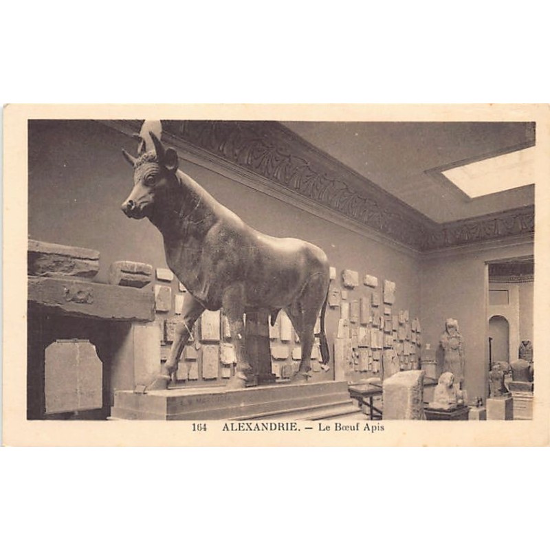 Rare collectable postcards of Egypt. Vintage Postcards of Egypt