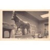 Rare collectable postcards of Egypt. Vintage Postcards of Egypt