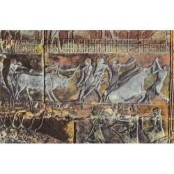 Rare collectable postcards of Egypt. Vintage Postcards of Egypt