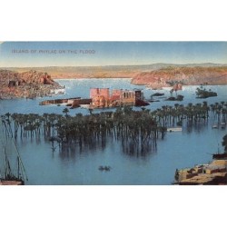 Rare collectable postcards of Egypt. Vintage Postcards of Egypt