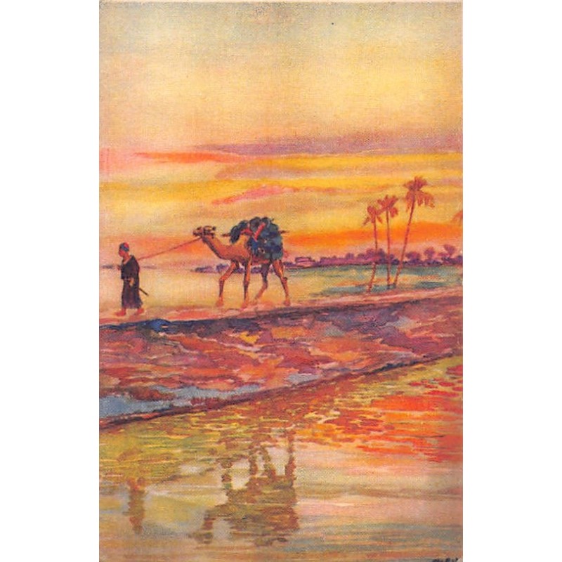 Rare collectable postcards of Egypt. Vintage Postcards of Egypt