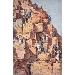 Rare collectable postcards of Egypt. Vintage Postcards of Egypt