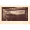 Rare collectable postcards of Egypt. Vintage Postcards of Egypt