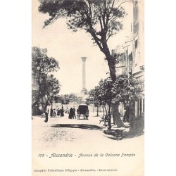 Rare collectable postcards of Egypt. Vintage Postcards of Egypt
