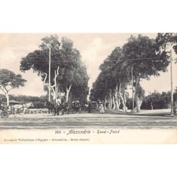 Rare collectable postcards of Egypt. Vintage Postcards of Egypt