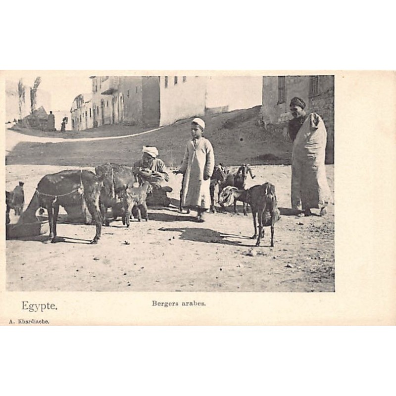 Rare collectable postcards of Egypt. Vintage Postcards of Egypt