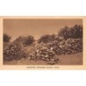 Rare collectable postcards of Morocco. Vintage Postcards of Morocco