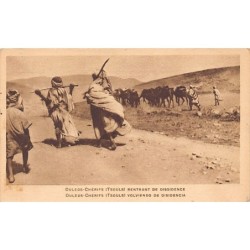Rare collectable postcards of Morocco. Vintage Postcards of Morocco