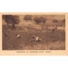 Rare collectable postcards of Morocco. Vintage Postcards of Morocco