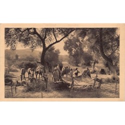 Rare collectable postcards of Morocco. Vintage Postcards of Morocco