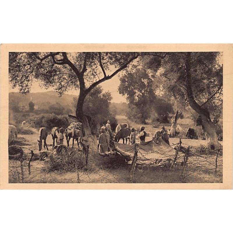 Rare collectable postcards of Morocco. Vintage Postcards of Morocco