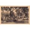 Rare collectable postcards of Morocco. Vintage Postcards of Morocco