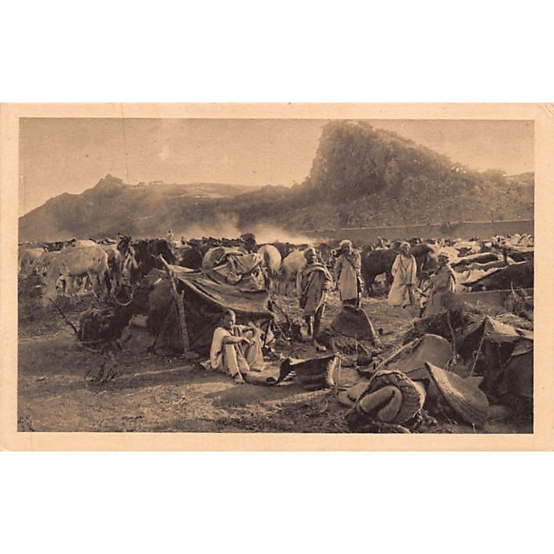 Rare collectable postcards of Morocco. Vintage Postcards of Morocco