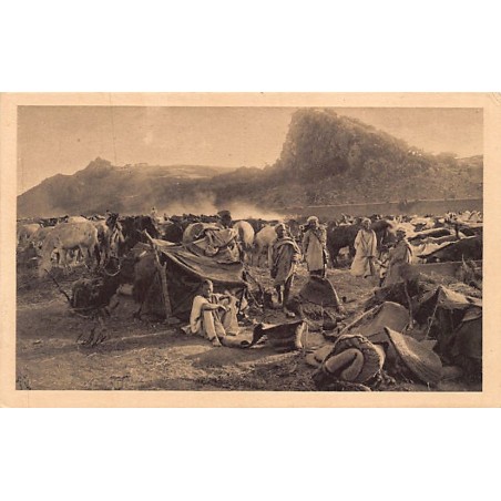 Rare collectable postcards of Morocco. Vintage Postcards of Morocco