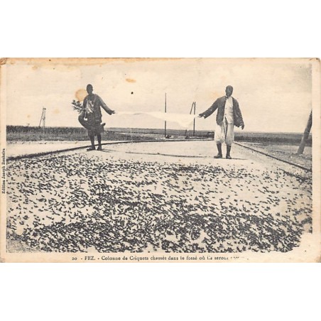 Rare collectable postcards of Morocco. Vintage Postcards of Morocco