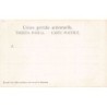 Rare collectable postcards of Bolivia. Vintage Postcards of Bolivia