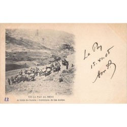 Rare collectable postcards of Bolivia. Vintage Postcards of Bolivia