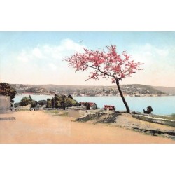 Rare collectable postcards of TURKEY. Vintage Postcards of TURKEY