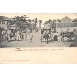 Rare collectable postcards of Guyana (British Guiana). Vintage Postcards of Guyana (British Guiana)