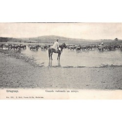 Rare collectable postcards of Uruguay. Vintage Postcards of Uruguay
