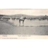 Rare collectable postcards of Uruguay. Vintage Postcards of Uruguay