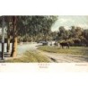 Rare collectable postcards of Uruguay. Vintage Postcards of Uruguay