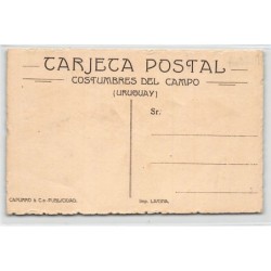Rare collectable postcards of Uruguay. Vintage Postcards of Uruguay