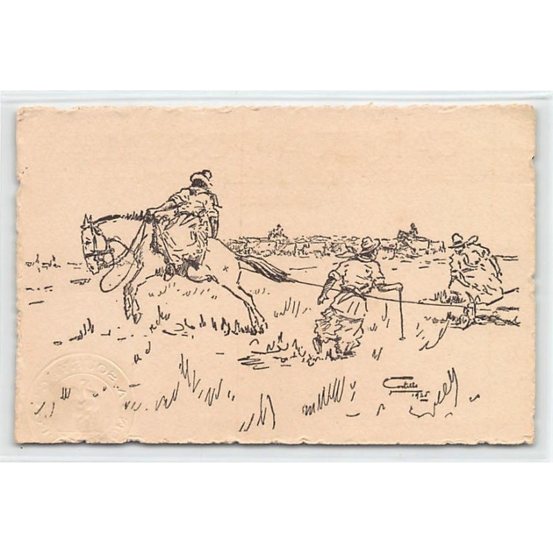 Rare collectable postcards of Uruguay. Vintage Postcards of Uruguay