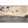Rare collectable postcards of Martinique. Vintage Postcards of Martinique