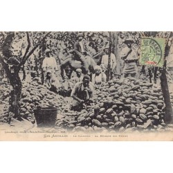 Rare collectable postcards of Martinique. Vintage Postcards of Martinique