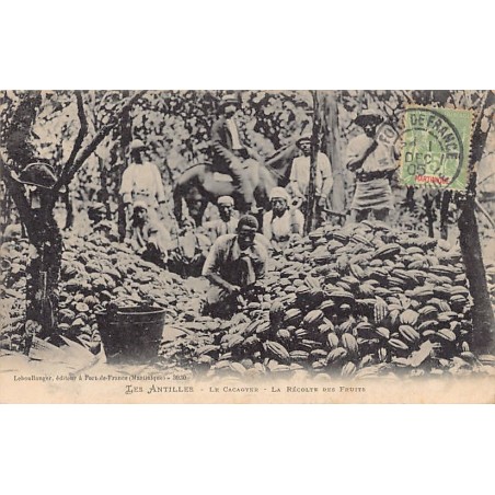 Rare collectable postcards of Martinique. Vintage Postcards of Martinique