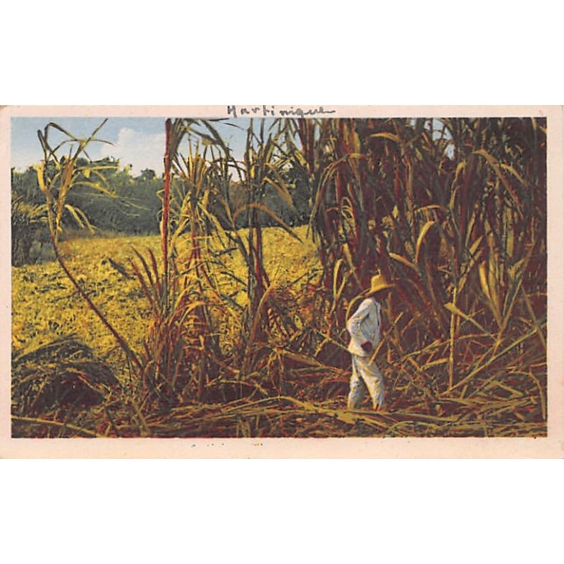 Rare collectable postcards of Martinique. Vintage Postcards of Martinique