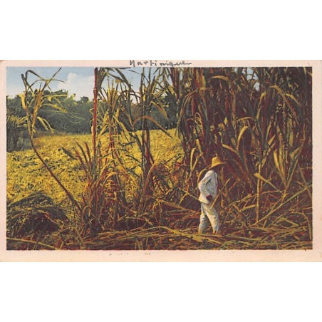 Rare collectable postcards of Martinique. Vintage Postcards of Martinique