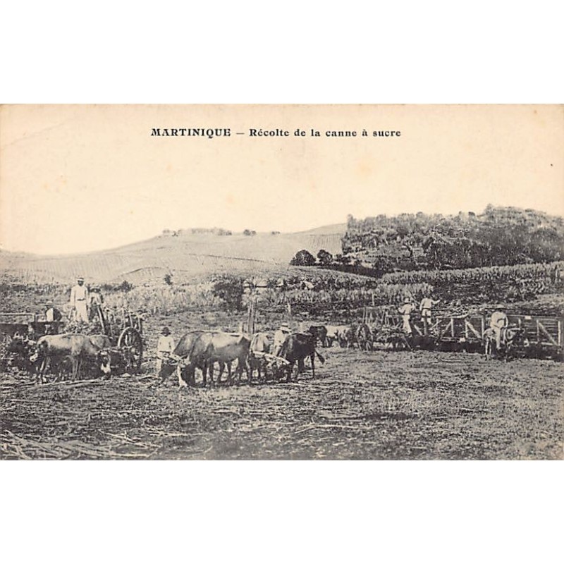 Rare collectable postcards of Martinique. Vintage Postcards of Martinique