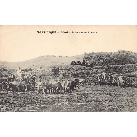 Rare collectable postcards of Martinique. Vintage Postcards of Martinique