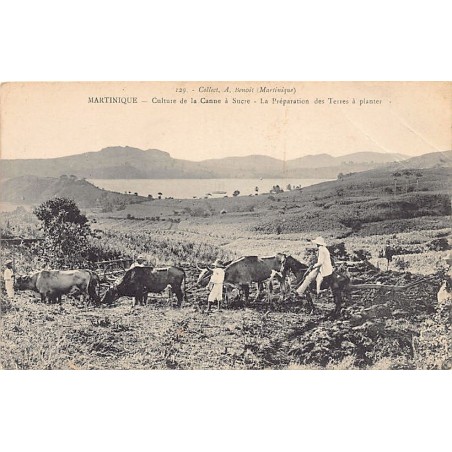 Rare collectable postcards of Martinique. Vintage Postcards of Martinique