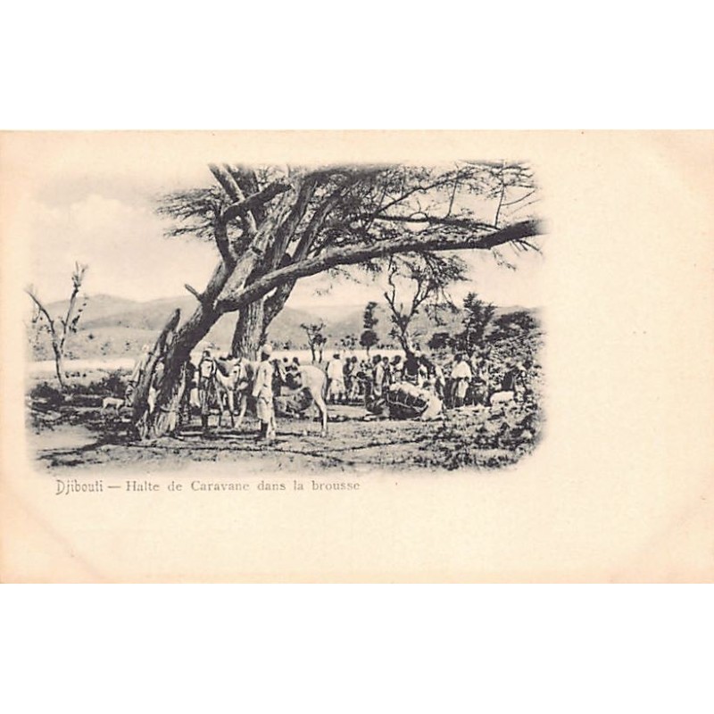 Rare collectable postcards of Djibouti. Vintage Postcards of Djibouti