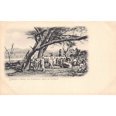 Rare collectable postcards of Djibouti. Vintage Postcards of Djibouti
