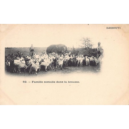Rare collectable postcards of Djibouti. Vintage Postcards of Djibouti