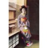 Rare collectable postcards of Japan. Vintage Postcards of Japan