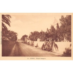Rare collectable postcards of Algeria. Vintage Postcards of Algeria