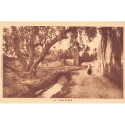 Rare collectable postcards of Algeria. Vintage Postcards of Algeria