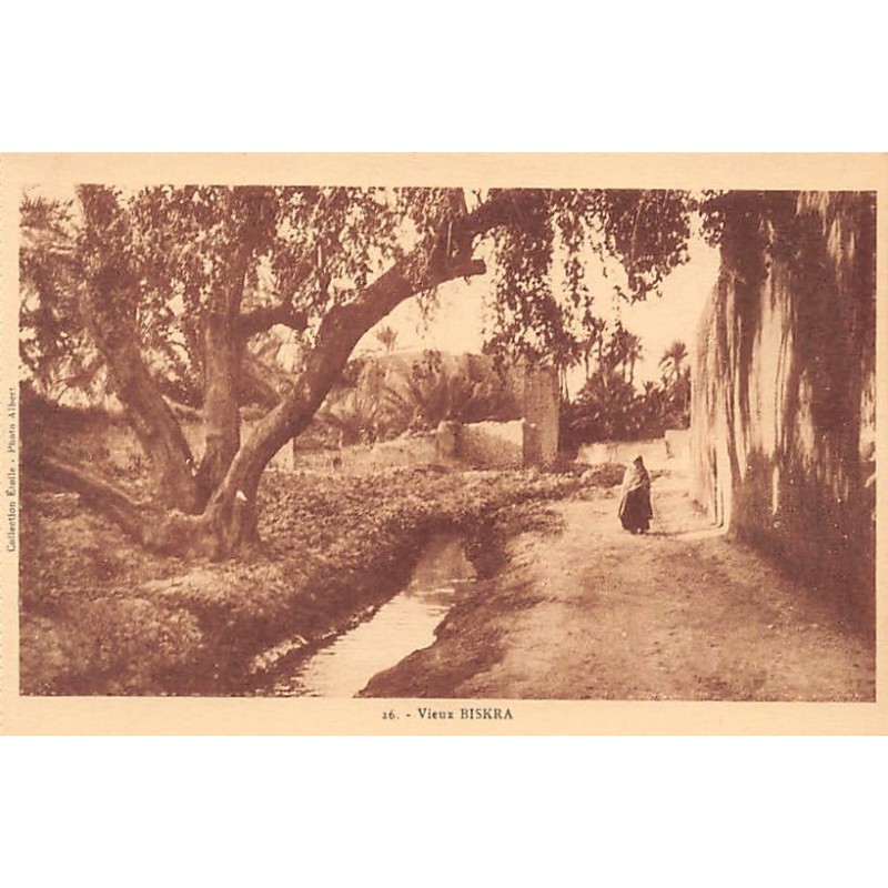 Rare collectable postcards of Algeria. Vintage Postcards of Algeria
